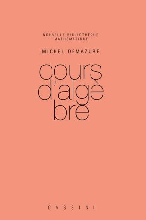 Thumbnail of book Cours d'algèbre cover