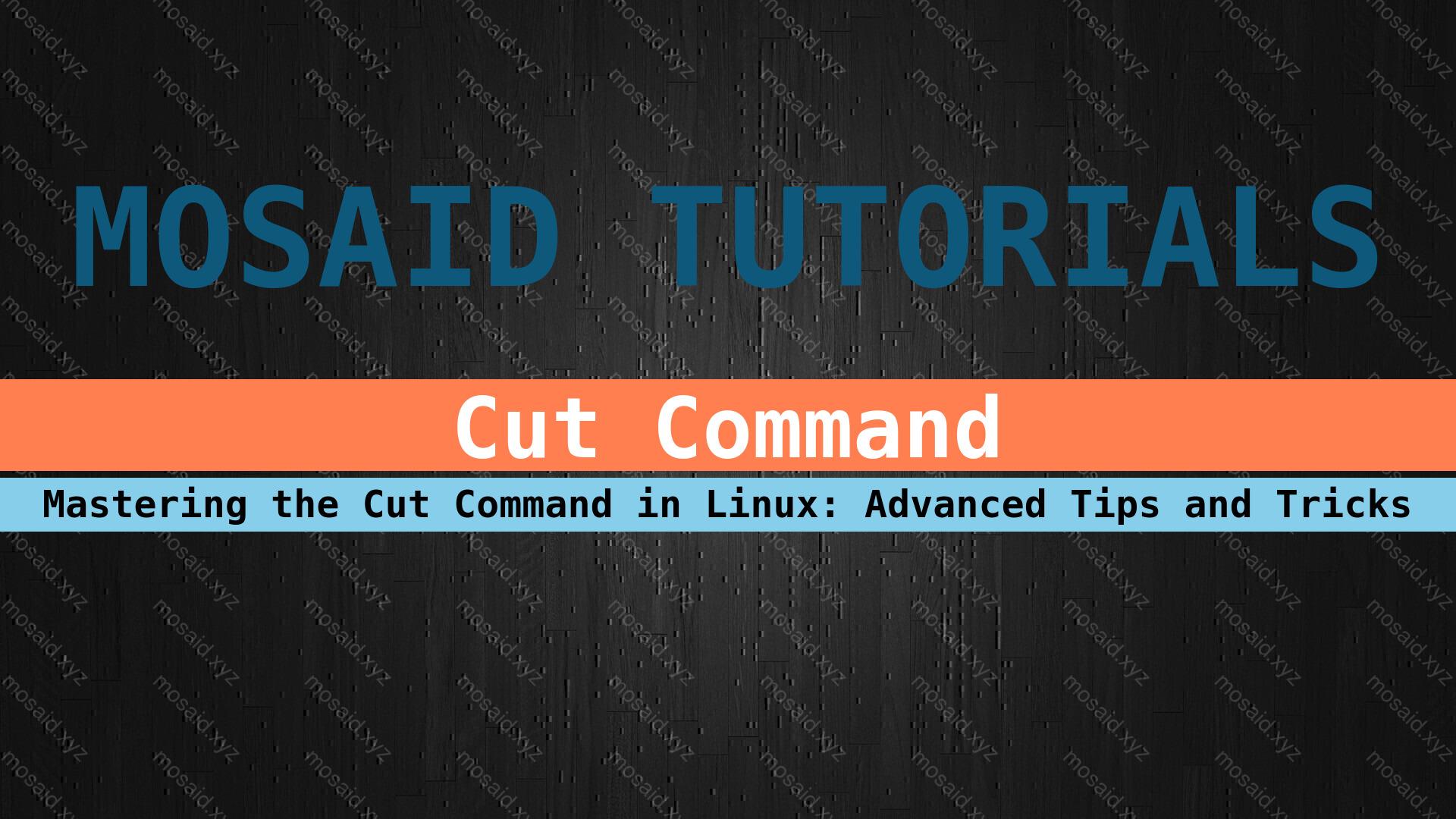 Banner of Expert Guide to Cut Command in Linux: Advanced Features Demystified