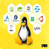 Exploring Linux: A Beginner's Guide to Distributions, DEs, FMs, and Package Managers