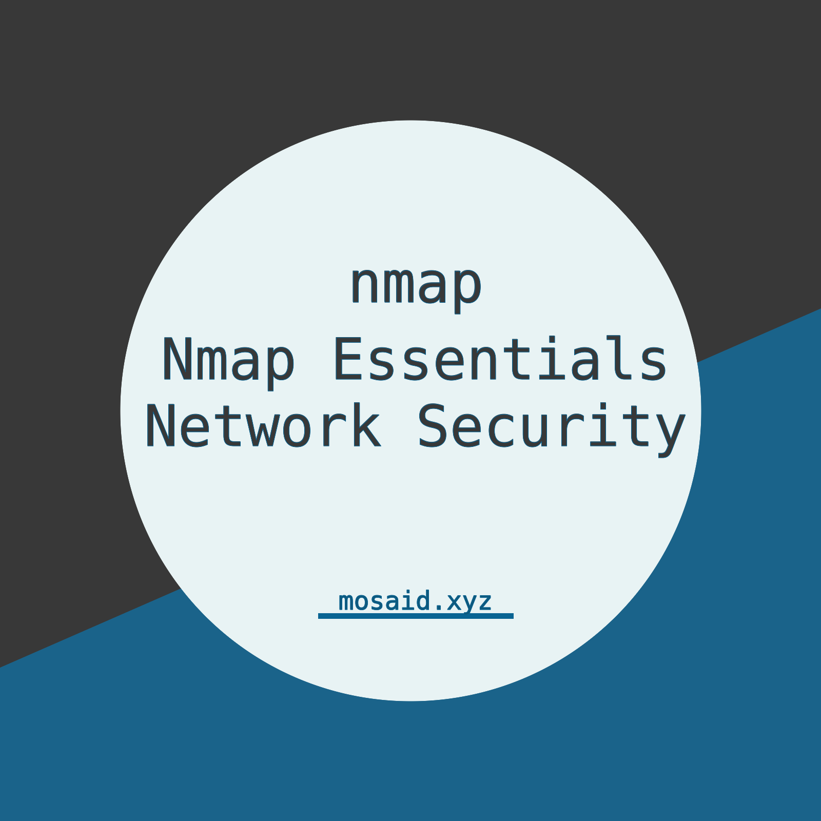 Nmap Essentials: Discovering Networks Like a Pro