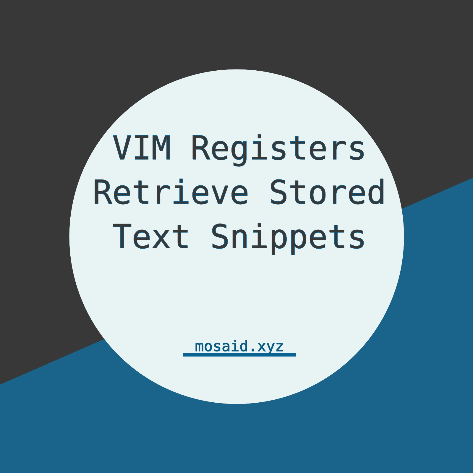 Mastering Vim Registers: Efficient Text Snippet Management