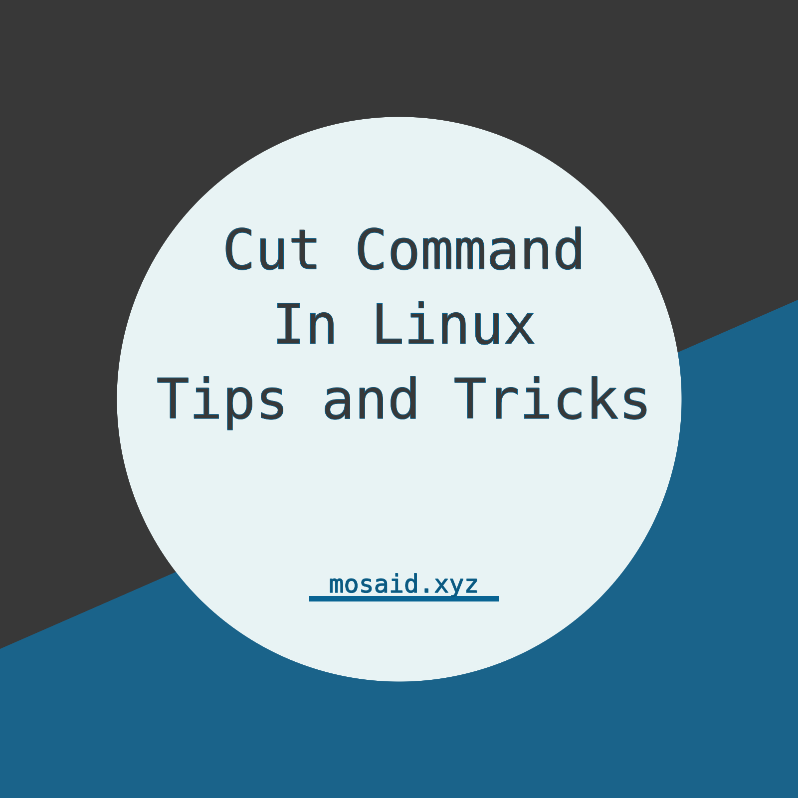 Advanced Cut Command Usage in Linux: Essential Tips for Text Manipulation