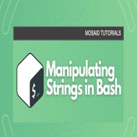 Your Ultimate Resource for Bash String Manipulation: Tips and Tricks Revealed Thumbnail