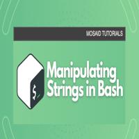 Your Ultimate Resource for Bash String Manipulation: Tips and Tricks Revealed