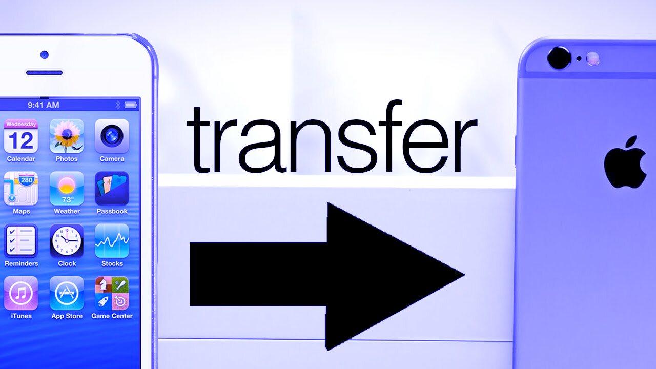 Banner of 35a0435a8c390d997371.jpg