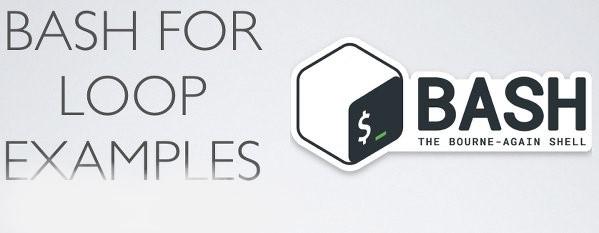 Banner of d1c7067295d728168bd8.jpg