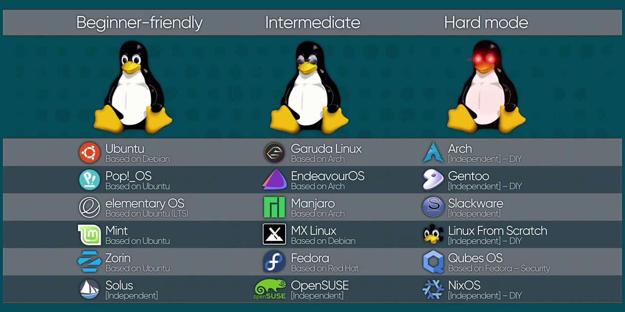 Banner of d8bff75b9cbff1a9df74.png