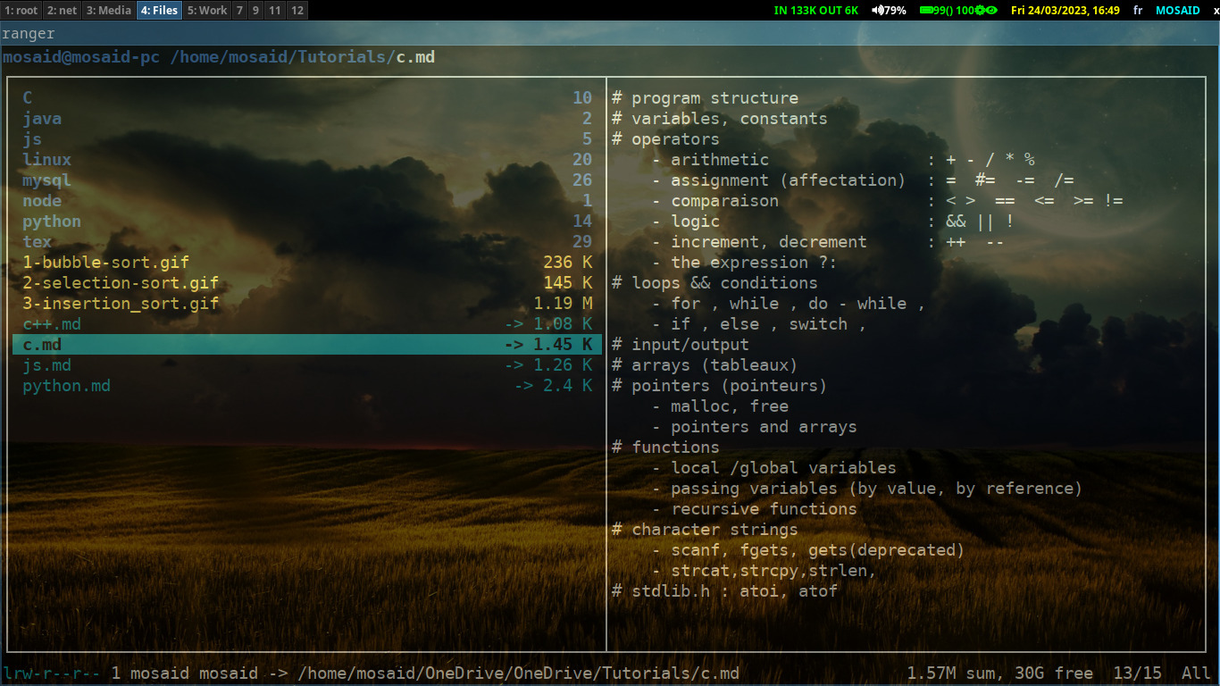 Ranger File Manager: file preview